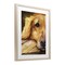 Stupell Industries Sight of Golden Retriever Framed Print Under Glass, design by George Dyachenko
